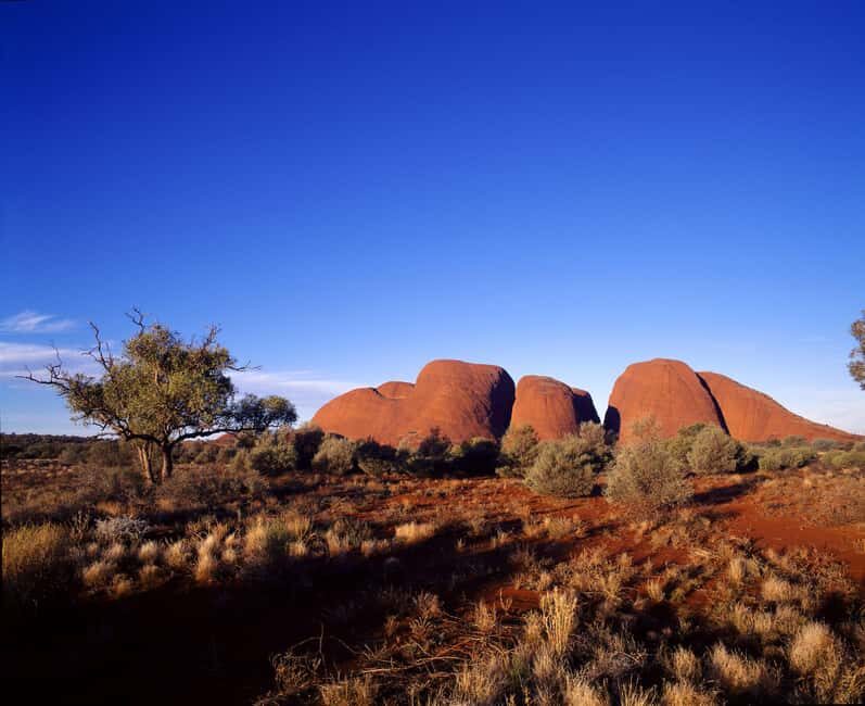 Kata Tjuta Private Guided Sunrise Tour - Why Choose This Tour?