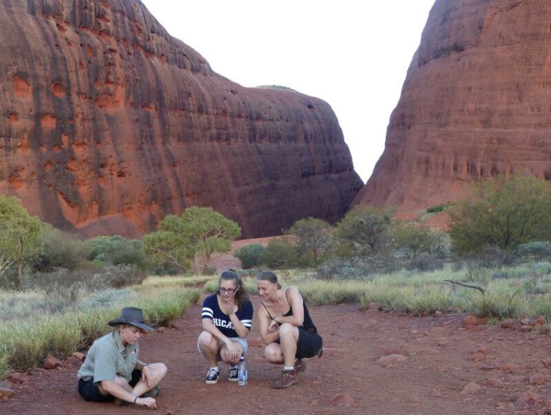 Kata Tjuta: Small Group Sunrise Tour with Picnic Breakfast - The Guided Experience: Learning and Asking Questions