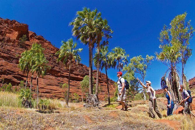 Kata Tjuta Valley of the Winds Circuit Hike - The Sum Up