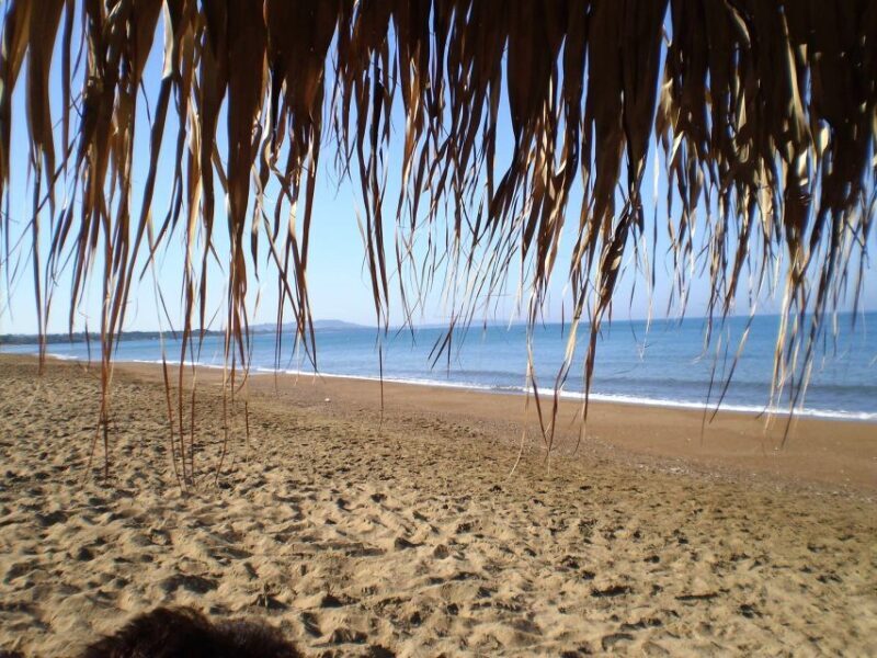 Katakolo: Ancient Olympia and Kourouta Beach Guided Tour - Key Points