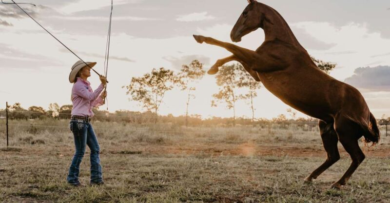 Katherine: Authentic Outback Show and Live Music - Who Will Love This Tour?