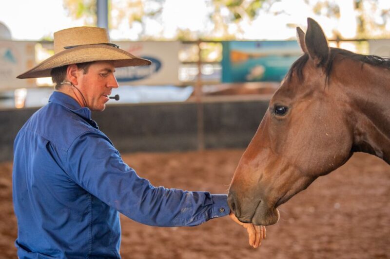Katherine: Authentic Outback Show and Live Music - Final Thoughts: Is It Worth It?