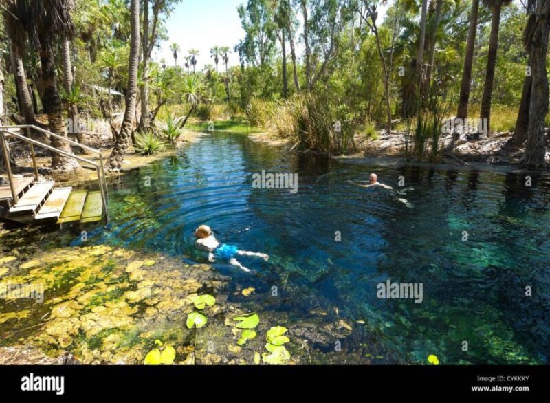Katherine Gorge - Mataranka - Edith Falls - Adelaide River - Discovering the Heart of the Northern Territory: Katherine Gorge, Mataranka, Edith Falls & Adelaide River