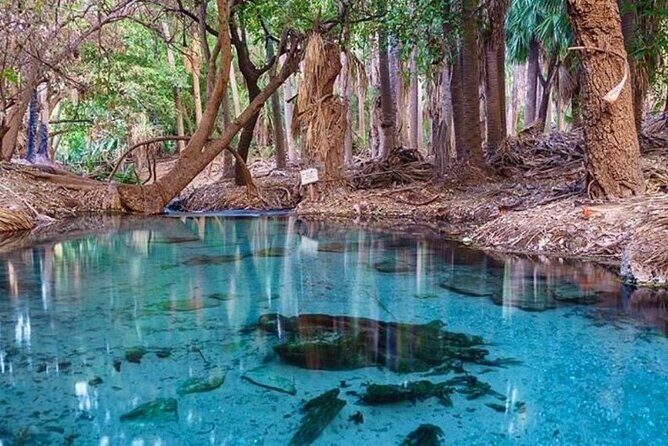 Katherine Gorge - Mataranka - Edith Falls - more... - Who Should Consider This Tour?