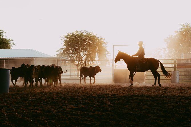 Katherine Outback Experience Show Ticket - Final Thoughts