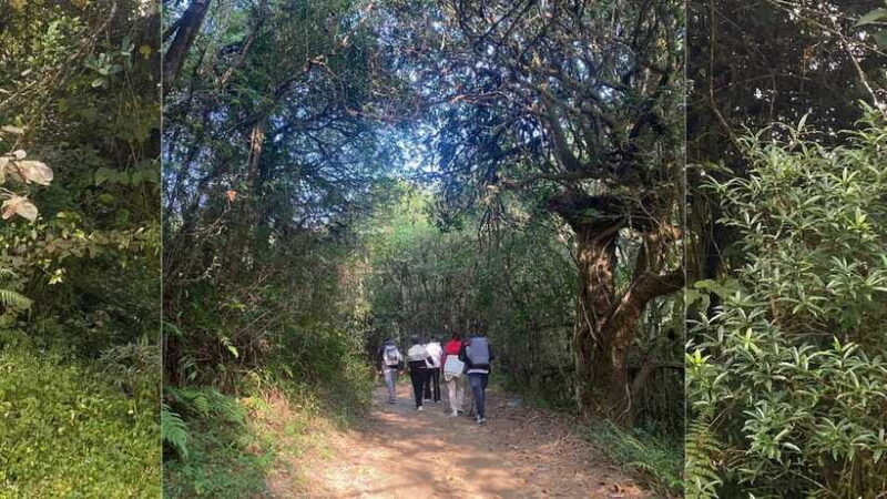 Kathmandu: 1N-2D Hiking to Chisapani and Nagarkot - Who Will Love This Experience?