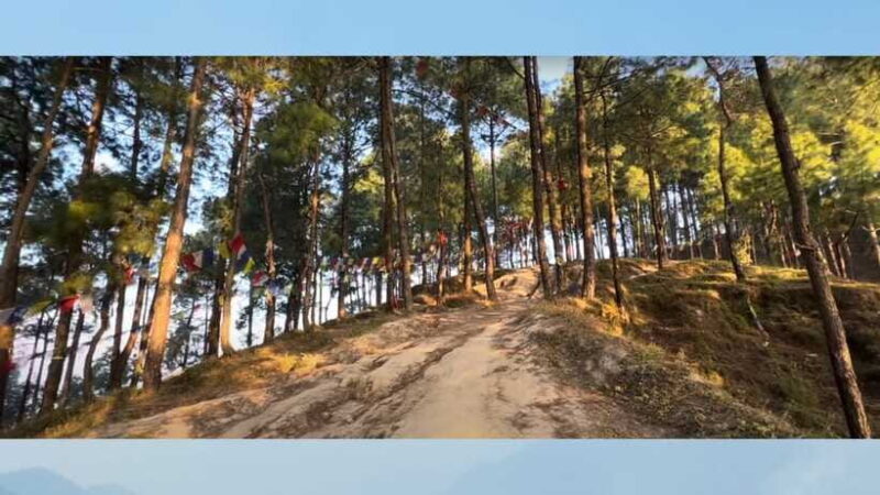 Kathmandu: 3-4 Hrs Hiking at Shivapuri National Park - Kathmandu: 3-4 Hrs Hiking at Shivapuri National Park