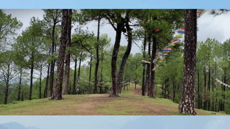 Kathmandu: 3-4 Hrs Hiking at Shivapuri National Park - Key Points