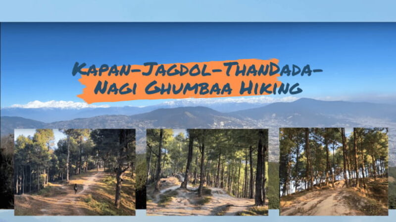 Kathmandu: 3-4 Hrs Hiking at Shivapuri National Park - Who Should Consider This Tour?