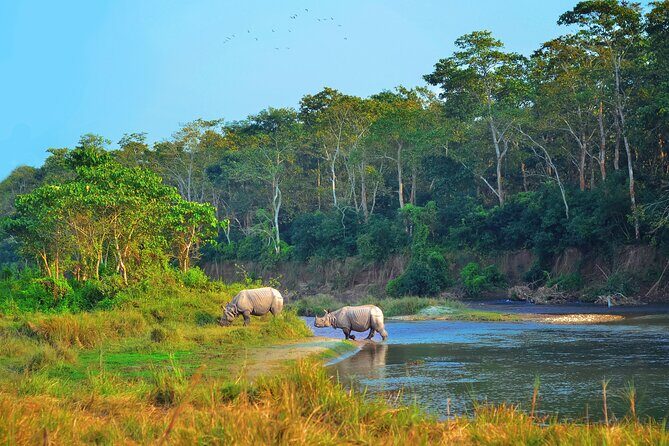Kathmandu: 3 Days Chitwan Jungle Safari Private Tour - The Experience in Detail