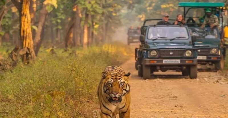 Kathmandu: 4-Day Private Chitwan National Park Safari Tour - Exploring the 4-Day Chitwan Safari Experience