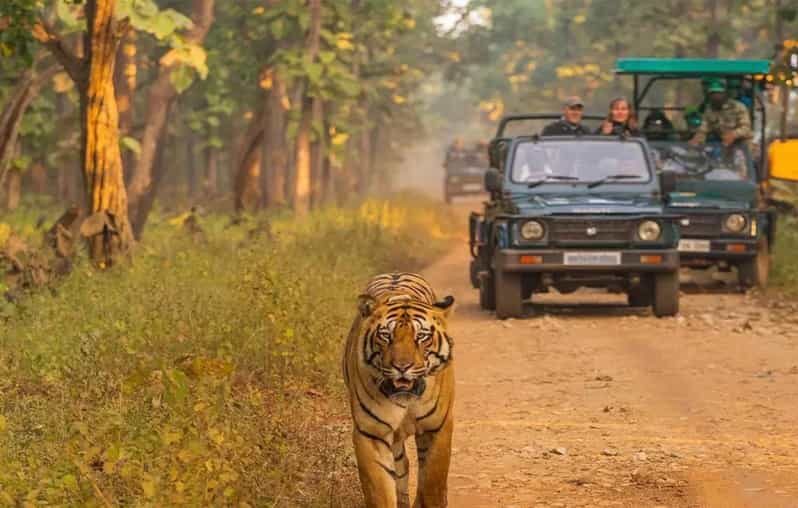 Kathmandu: 4-Day Private Chitwan National Park Safari Tour - FAQ