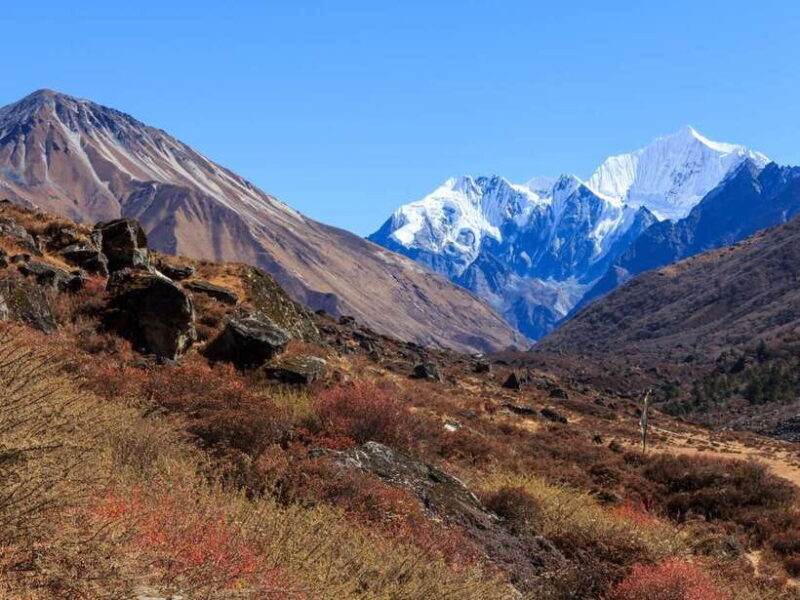 Kathmandu: 6 Days Langtang Valley Trek with Kyanjin Ri - Authentic Encounters and Authentic Value