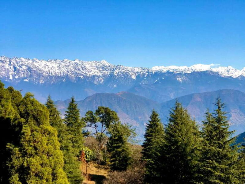 Kathmandu: 8-Day Langtang Valley Trek w/Kyanjin Ri Viewpoint - Key Points