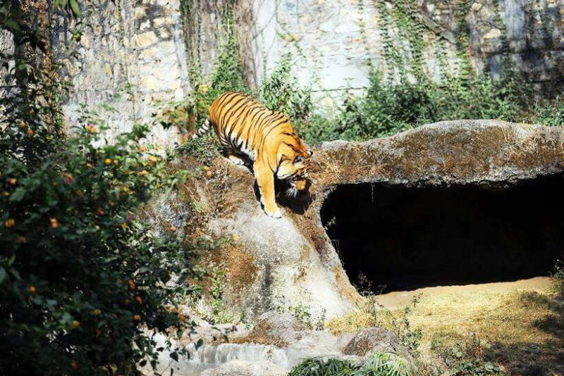 Kathmandu: Central Zoo Tour - Key Points