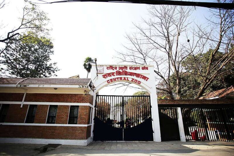 Kathmandu: Central Zoo Tour - Final Thoughts