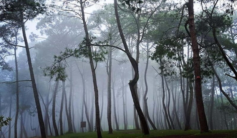 Kathmandu: Champadevi Hill Guided Hike with Lunch - Key Points