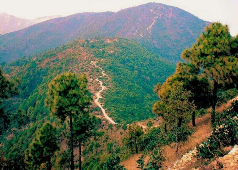 Kathmandu: Hike, Heritage & Holiness | Champadevi day Hiking - Who Should Consider This Tour?