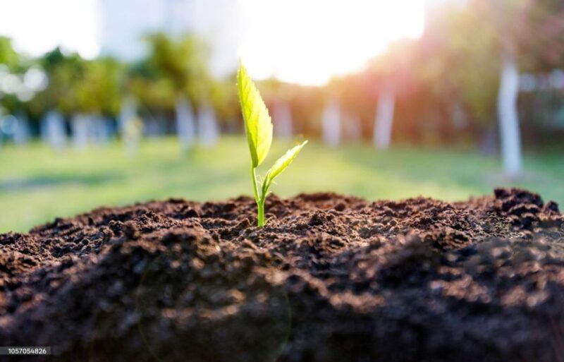 Kathmandu: Hike JamaChwok & Tree Planting for carbon neutral - Who Should Consider This Tour?