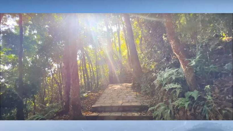 Kathmandu: Jamacho, 4 hours hiking near thamel - Key Points