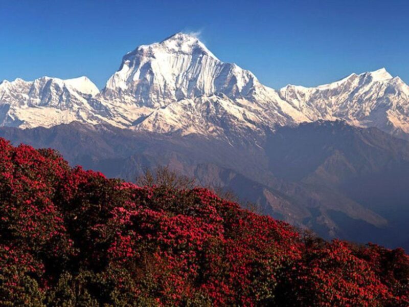 Kathmandu/Pokhara: 4-Day Mardi Himal Trek - Who Should Consider This Trek?