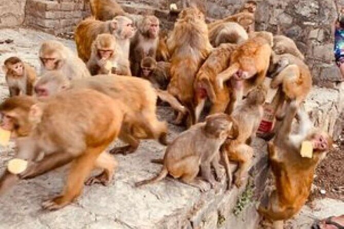 Kathmandu Private Sightseeing Tour | UNESCO World Heritage Sites - FAQs