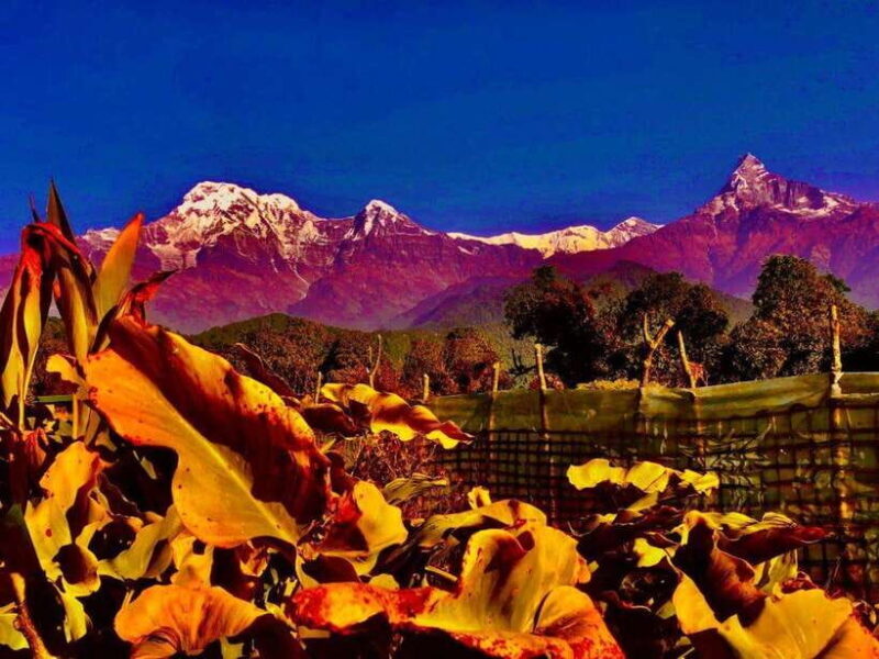 Kathmandu: Rapid Ghorepani Poon Hill Trek with Guide - Key Points