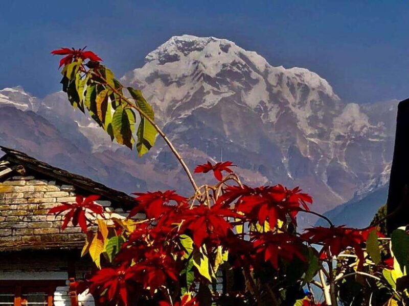 Kathmandu: Rapid Ghorepani Poon Hill Trek with Guide - An In-Depth Look at the Trek Experience