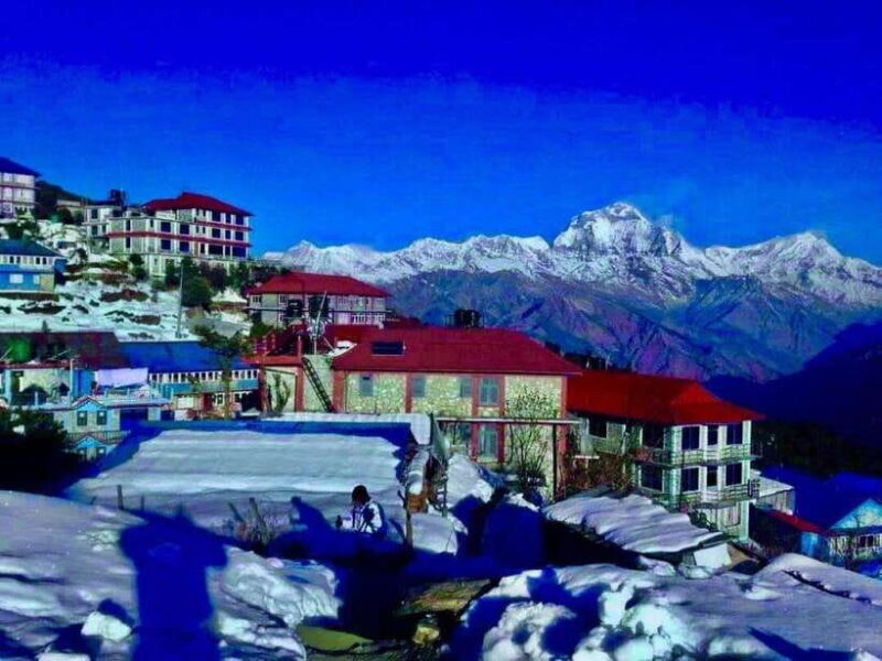 Kathmandu: Rapid Ghorepani Poon Hill Trek with Guide - Practical Details and Pricing Analysis