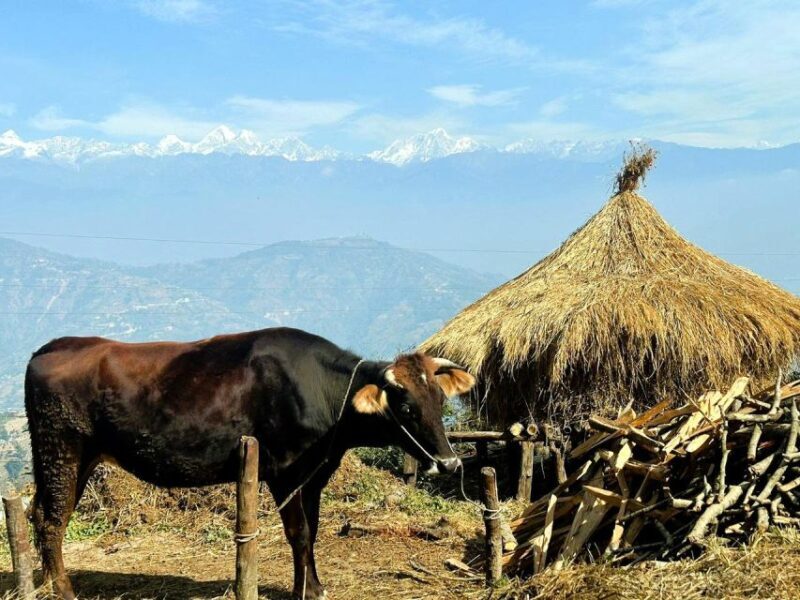 Kathmandu - Shanku - Nagarkot : 1-Day Nagarkot Sunset Tour - The Sum Up