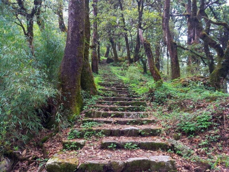 Kathmandu: Shivapuri Day Hike with Lunch - Final Thoughts