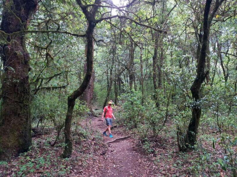 Kathmandu: Shivapuri Day Hike with Lunch - FAQs