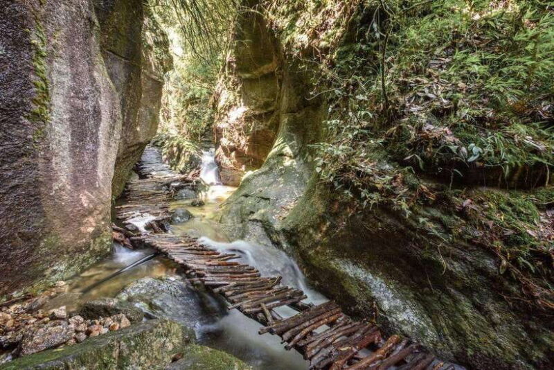 Kathmandu: Shivapuri Hill Day Hike with Lunch box - Key Points