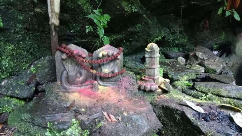 Kathmandu: Shivapuri National Park Day Hike - Pricing and Value