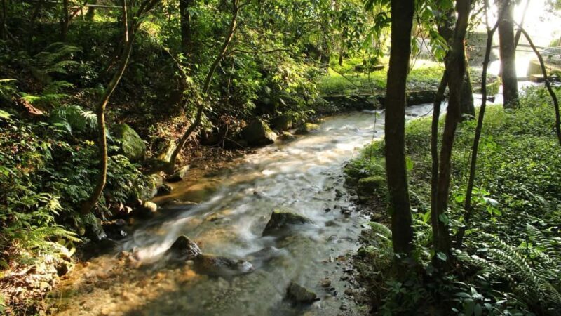 Kathmandu: Shivapuri National Park Hiking Day Trip - Additional Info