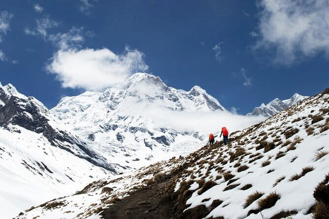 Kathmandu to Annapurna Base Camp 5 Days Trek - Value for Money