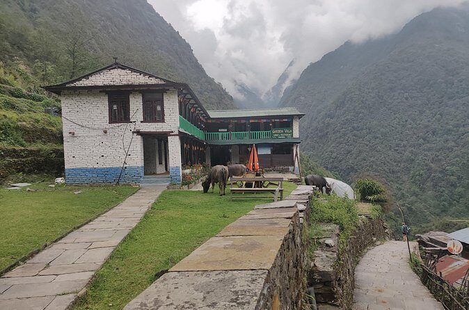 Kathmandu to Annapurna Base Camp Trek 7 Days Tour - Who Will Love This Trek?