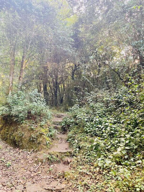 Kathmandu to Nagarkot Hike: Village Trails & Himalayan Views - Who Should Consider This Tour?