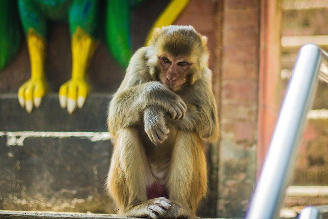 Kathmandu Valley trek with sightseeing - Who Will Love This Tour?