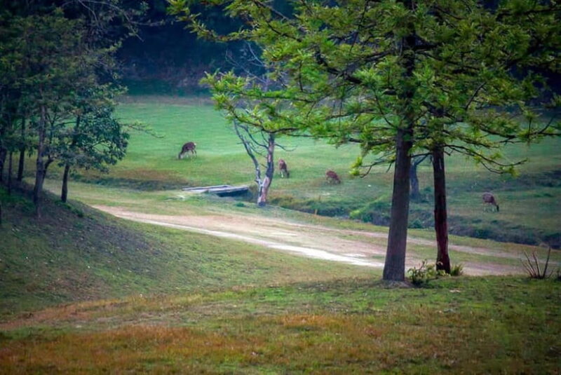 Kathmandu's 18-Hole Gem: Hike & Play the Himalayan Golf - The Value of This Experience