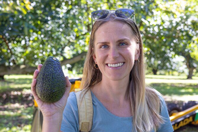 Katikati Gourmet Avocado Tasting - Key Points