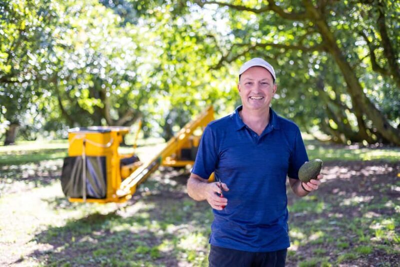 Katikati: Guided Gourmet Avocado Tour - Exploring the Guided Gourmet Avocado Tour in Katikati