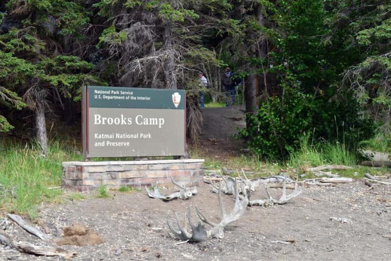 Katmai Alaska: Brooks Falls Bear Viewing by Floatplane - Final Thoughts