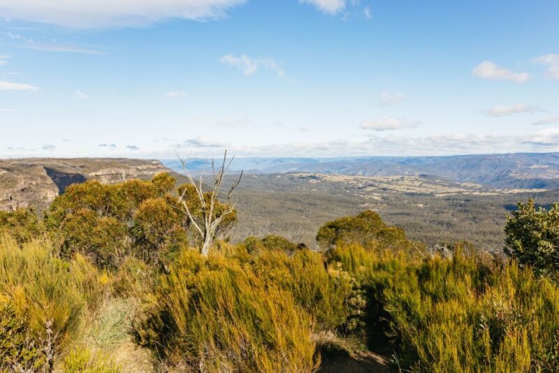 Katoomba: Lyrebird Hop-On Hop-Off and Scenic World Pass - Discovering the Blue Mountains: Katoombas Lyrebird Hop-On Hop-Off and Scenic World Pass