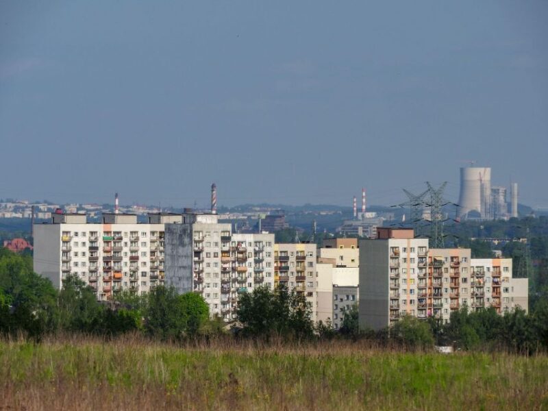 Katowice: Express Walk with a Local in 60 minutes - Who Will Love This Tour?