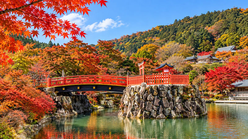Katsuo-ji Temple Daruma Prayer, Kyoto Arashiyama, Kiyomizu-dera Temple: Lunch can be upgraded to A5 Kuroge Wagyu "Kobe Beef" (Matcha experience included) - Is this Osaka-to-Kyoto day trip worth booking?