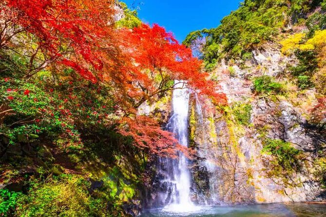 Katsuo-ji Temple, Minoh Waterfall, Arashiyama Forest, & Nara Park - Who Will Love This Tour?