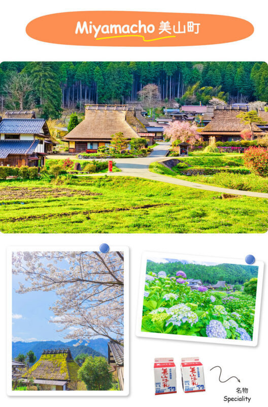Katsuo-ji Temple, Miyama, and Arashiyama Day Trip - The price, the pace, and the fine print
