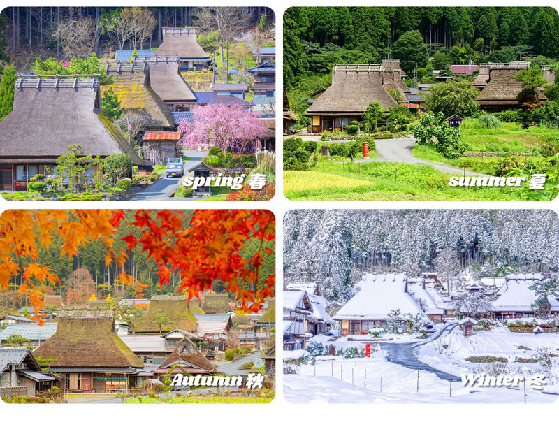 Katsuo-ji Temple, Miyama, and Arashiyama Day Trip - Who should choose this day trip?