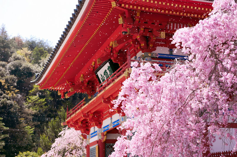Katsuo-ji Temple Ticket (Optional Osaka Metro Pass) - A temple where victory means overcoming yourself